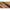 Lanseta Benzar Concourse Method Feeder Limited Edition, Up To 130g, 4.20m, 3+3seg