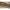 Lanseta Benzar Mix Blade Feeder Concourse 3.90m, 30-80g, 3+4seg