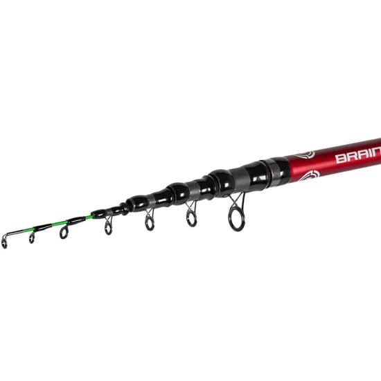 Lanseta Brain Classic Tele Feeder 3.90m, 160g, 6+2seg
