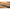 Lanseta Benzar Concourse Light Feeder, 3.30m, 10-40g, 2+3seg