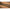 Lanseta Benzar Concourse Light Feeder, 3.30m, 10-40g, 2+3seg