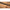 Lanseta Benzar Concourse Light Feeder, 3.60m, 10-40g, 2+3seg