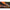 Lanseta Bolognesa Benzar Adventure Bolo, 10-25g, 4m, 4seg