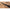 Lanseta Bolognesa Benzar No Limit, 50-120g, 5m, 5seg