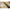 Lanseta Bolognesa Carp Exper Specialist Bolo, 5-25g, 5m, 5seg