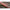Lanseta Bolognesa Carp Expert Evolution Power Bolo, 5m, 5-35g, 5seg