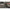 Lanseta Bolognesa Carp Expert Supreme Bolo, 4m, 8-20g, 4seg