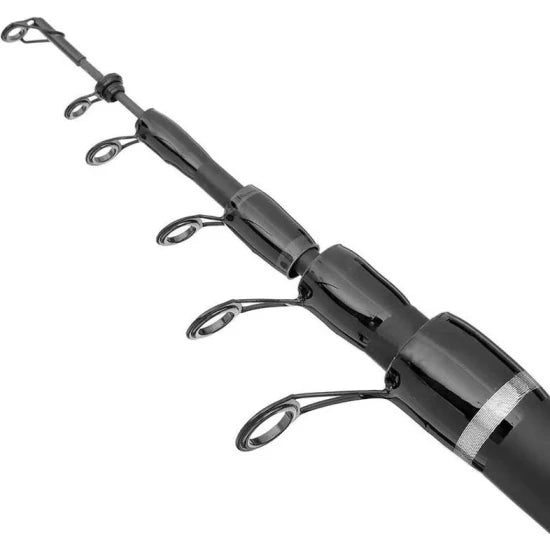 Lanseta Bolognesa Filfishing Filex Continental, 30g, 5m, 5seg