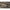 Lanseta Carp Expert Boilie Feeder Max2 Double Tip, 3.60m, 3lbs, 3+1+2seg