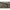 Lanseta Carp Expert Boilie Feeder Max2 Double Tip, 3.90m, 3lbs, 3+1+2seg
