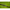 Lanseta Carp Spirit Magnum X5 3.96m, 3.75lbs, 2seg