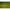 Lanseta Carp Spirit Magnum X5 3.96m, 3.75lbs, 2seg