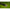 Lanseta Carp Spirit Magnum X5 3.96m, 3.75lbs, 2seg