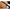 Lanseta Carp Spirit Magnum X5, 50mm, 3.50lbs, 3.00m, 2seg