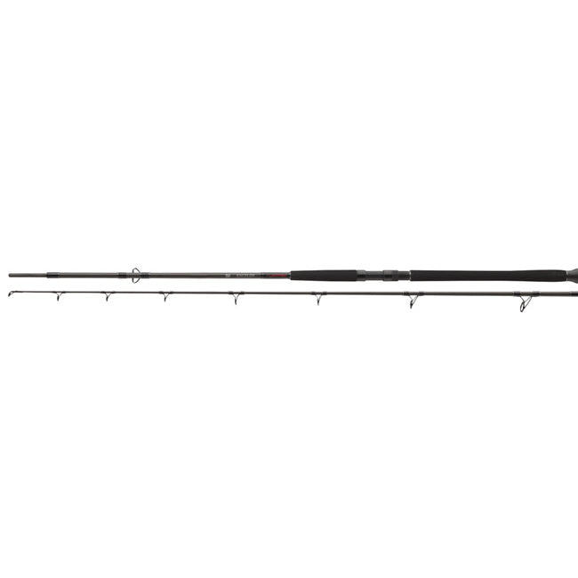 Lanseta DAIWA EXCELER CATFISH BOJE 3.00M 200-600G  2seg