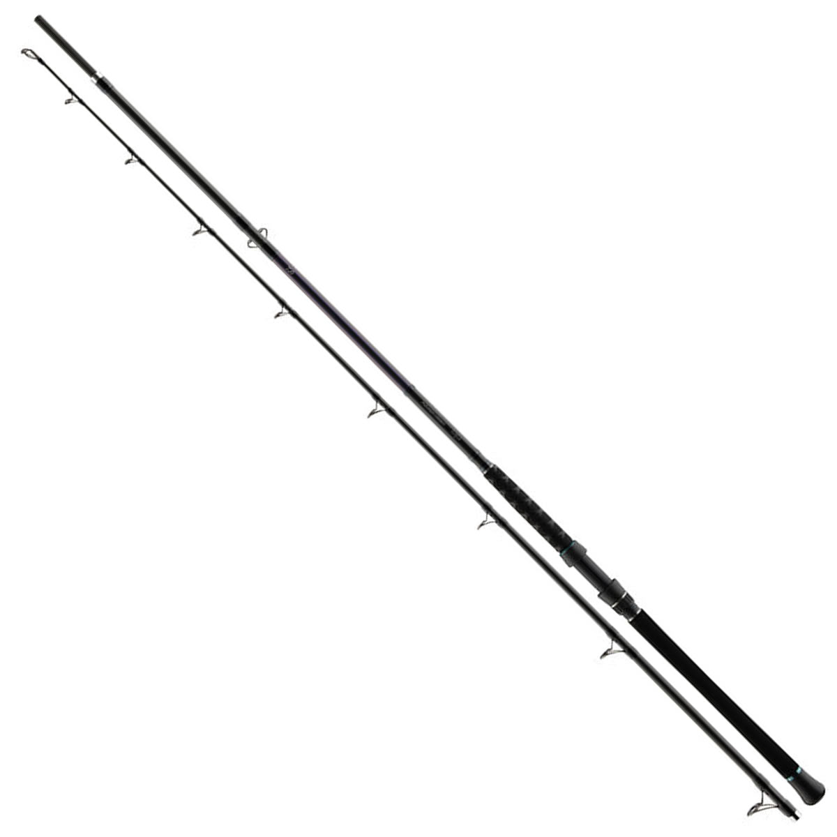 Lanseta DAIWA Powermesh Catfish, 3.00m, 500g, 2seg