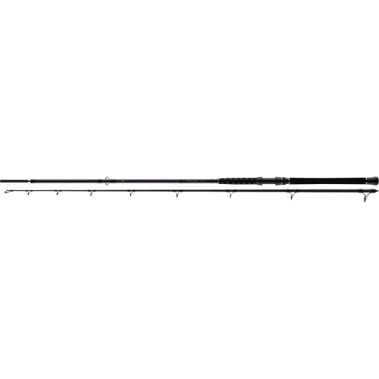 Lanseta Daiwa Powermesh Catfish 2.75m 400g 2seg