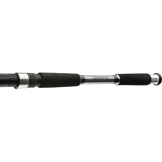 Lanseta Daiwa Seahunter X Variotip 2.70m 30-110g 2+3seg