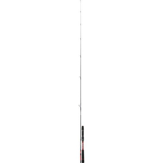 Lanseta Daiwa Tournament AGS, 2.01m, 5-21g, 1+1buc