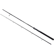 Lanseta Energofish Wizard Active Spin, 2.00m, 10-30g, 2seg
