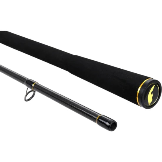 Lanseta Formax Aries Cast, 2.58m, 40-80g, 2seg