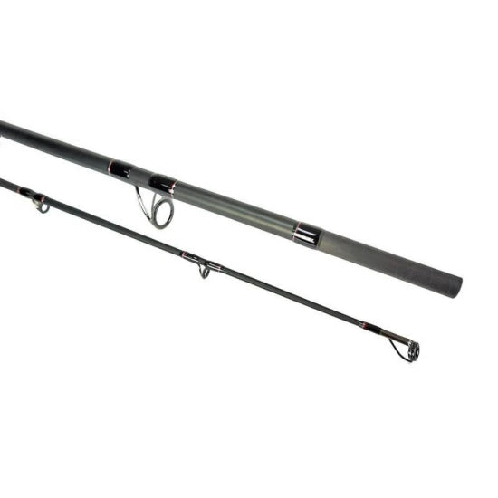 Lanseta Formax Vantage Catfish, 3.00m, 100-300g, 2seg