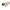 Lanseta Fox Rage Predator Elite Pro Deadbaiting Xs Rod 12ft/3.6m, 3.25lbs, 2seg