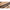 Lanseta Fitofag Carp Expert Silver Carp Power Float 3.90m, 70 -120g, 3seg