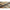 Lanseta Fitofag Carp Expert Silver Carp Power Float 3.90m, 70 -120g, 3seg
