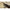 Lanseta Fitofag Carp Expert Silver Carp Power Tele 3.30m, 50-150g