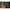 Lanseta Harrison Aviator Te 3.96m, 4.2lbs, 2seg