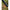 Lanseta Korum Glide Power Float, 3.96m, 18g, 3seg