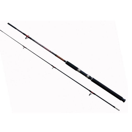 Lanseta Lineaeffe Caspian Catfish 2.40m 100-250g 2seg
