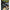 Lanseta Match Matrix Horizon X Ultra Pro Pellet Waggler, 3.66m, 25g, 2seg