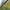 Lanseta Nufish Affinium Feeder Rod, Up To 60g, 3.35m, 2+3seg