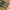 Lanseta Nufish Affinium Sensation Feeder Rod, Up To 60g, 3.35m, 2+3seg