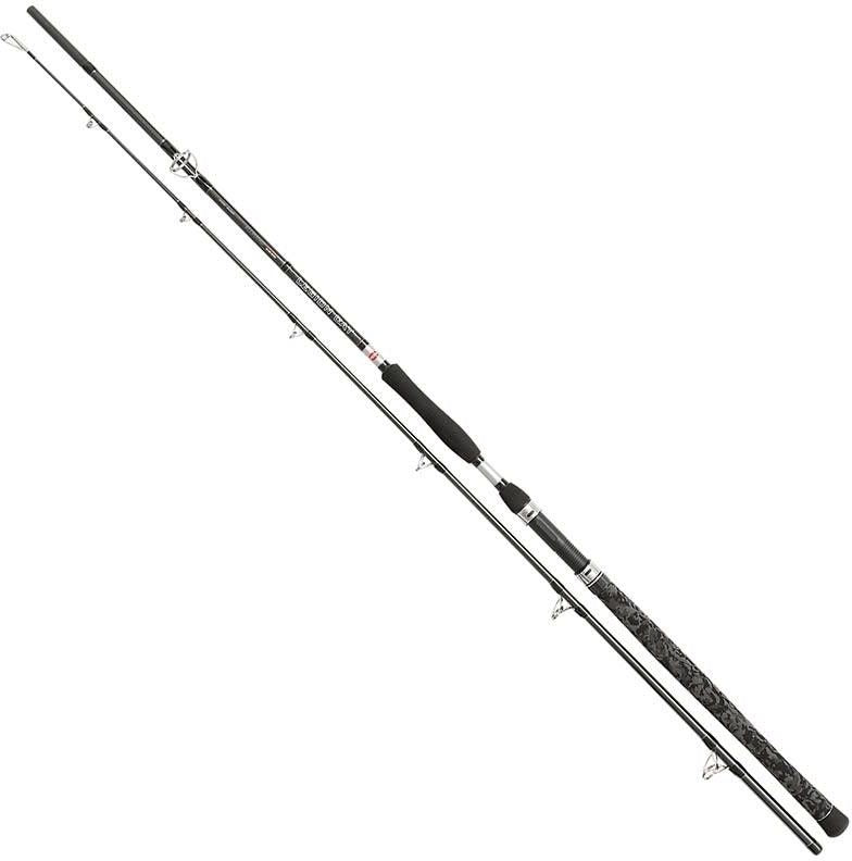 Lanseta Penn Legion Cat Silver Spin, 2.40m, 40-160g, 2seg