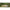 Lanseta Sakura Ryokan Fw Spin Rfws 662ml, 3-10.5g, 1.98m, 2seg