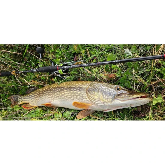 Lanseta Sakura Ryokan Fw Spin Rfws 702mh, 7-28g, 2.13m, 2seg