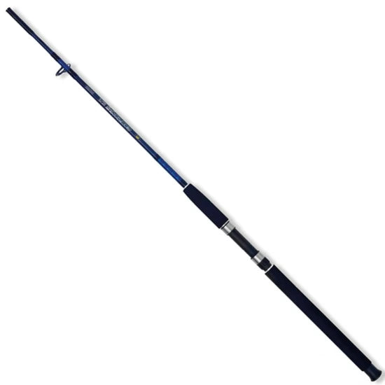 Lanseta Somn Lineaeffe Caspian Pro Rod 2.10m, 100-250g, 2seg