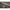 Lanseta Somn Wizard Cat Hercules, 600-800g, 3.10m, 2seg
