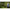 Lanseta Sonik Dominatorx Rs 3.96m, 3.50lb, 2seg