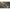 Lanseta Wizard Bokor Spin 2.12m, 7-25g, 2seg