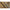 Lanseta Wizard Dravon, 2.43m, 7-29g, 2seg