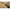 Lanseta Wizard Dravon, 2.43m, 8-35g, 2seg