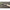 Lanseta Wizard Micro Jig Spinning Rod, 3-15g, 2.25m, 2seg