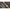 Lanseta Wizard Vertix Boat Jig Catfish, 1.68m, 200-300g, 1+1seg