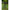 Lanseta Zebco After Dark Allround, 15-75g, 2.85, 2seg