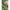 Lanseta Zebco Magic Trout Ul, 2-8g, 2.20m, 2seg