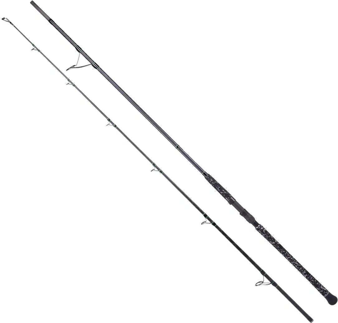 Lanseta ZECK Homezone Long, Up To 180g, 3.05m, 2seg